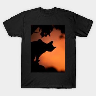 Black Cat Twilight - Halloween 2019 T-Shirt